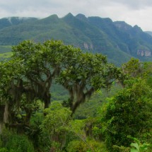 Rio do Rastro Mountain Range in Santa Catarina